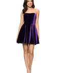 "Lisa" Velvet Strapless Bow Back Short Dress