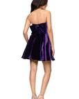 "Lisa" Velvet Strapless Bow Back Short Dress