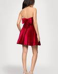 "Lisa" Velvet Strapless Bow Back Short Dress