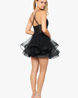 "Abigail" Short Mesh Illusion Back Dress