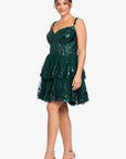 Plus "Alexandra" Short Mesh Illusion Party Dress