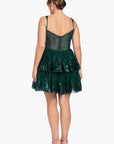 Plus "Alexandra" Short Mesh Illusion Party Dress