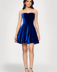 "Lisa" Velvet Strapless Bow Back Short Dress