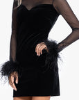 "Krystal" Short Velvet Long Sleeve Feather Illusion Dress