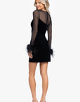 "Krystal" Short Velvet Long Sleeve Feather Illusion Dress